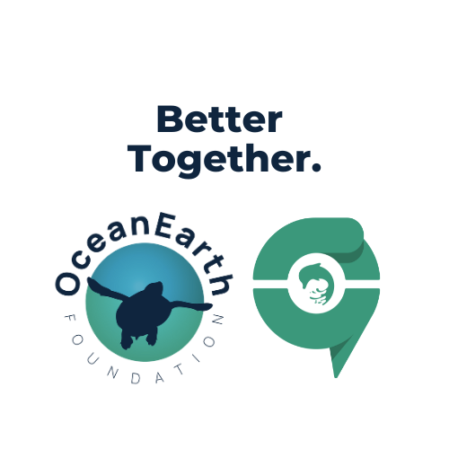 OceanEarth Foundation and Ocean Youth join forces.