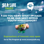 Melbourne Ocean Youth Information Day