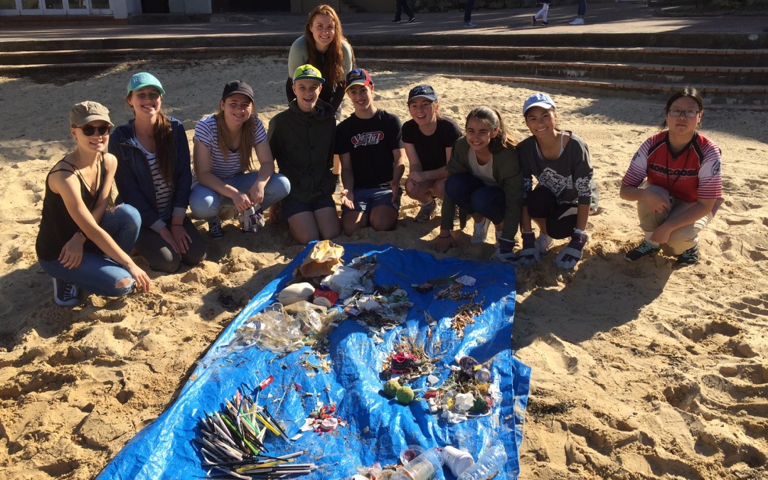 Clean Up for World Turtle Day