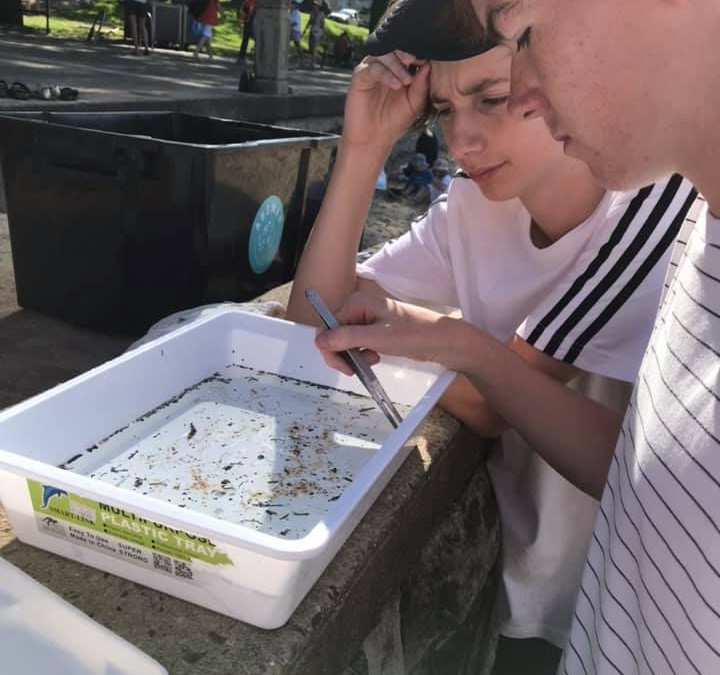 Citizen scientists at work