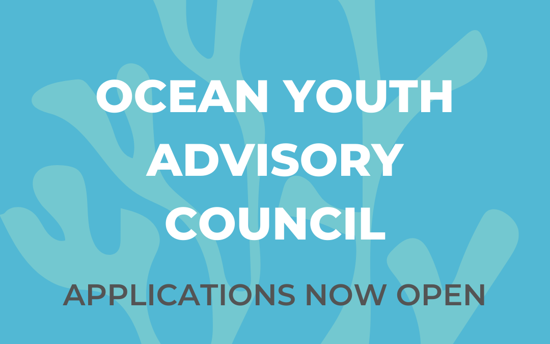 Ocean Youth Advisory Council – applications now open