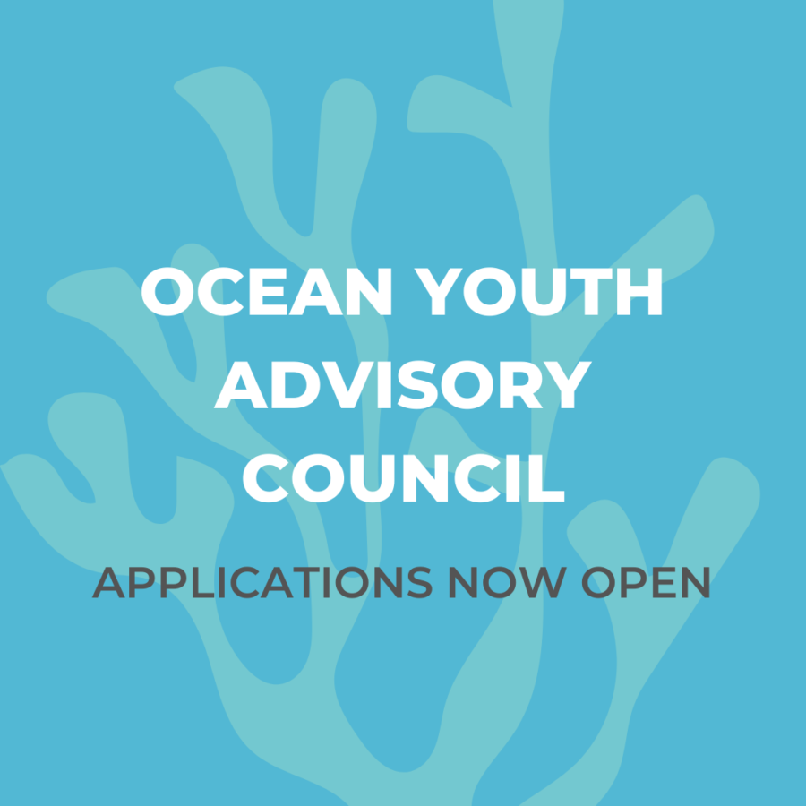 Ocean Youth Advisory Council – applications now open