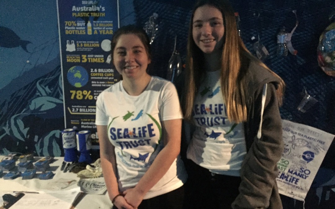 OY volunteering @ SEA LIFE