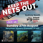 Shark net rally in Cronulla 27 Aug