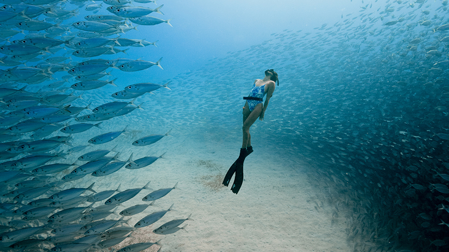 Tangaroa Blue + Ocean Film Festival