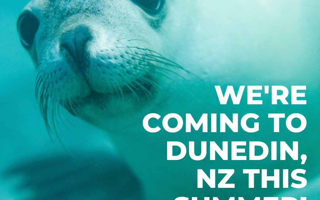 New Ocean Youth chapter starting in Dunedin!