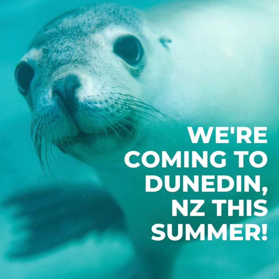 New Ocean Youth chapter starting in Dunedin!